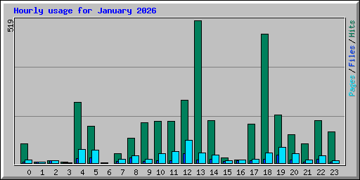 Hourly usage for January 2026